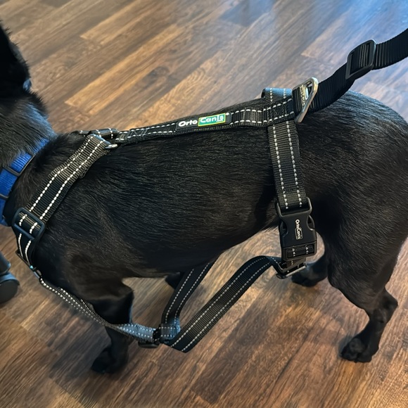 Support Harness OrtoCanis (Front Only) - Picture 13 of 15